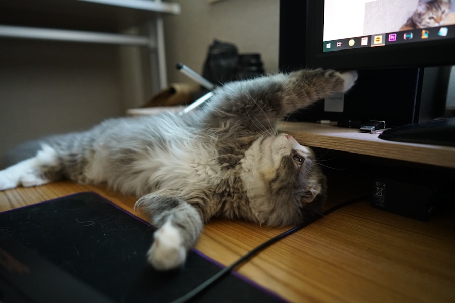 Photo "stretching exercises at the desk"