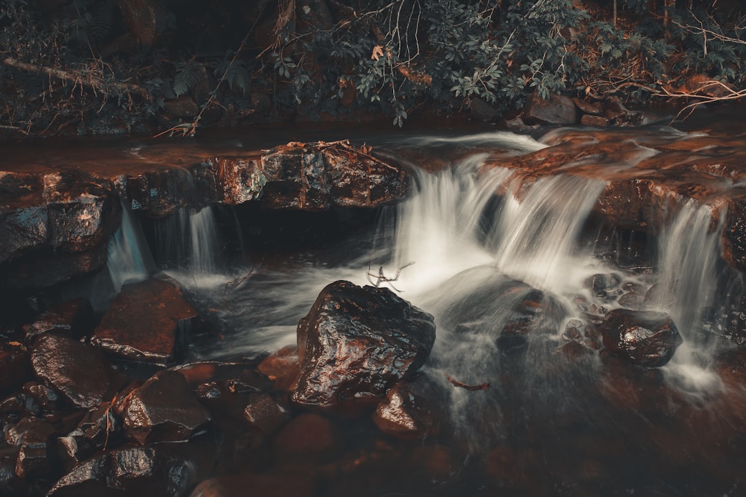 Photo longest rivers